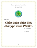 Tiểu luận:Chuẩn đoán phân biệt các tybe virus PMWS