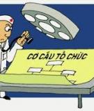 Tái cấu trúc doanh nghiệp: Hiểu đúng và toàn diện nhất