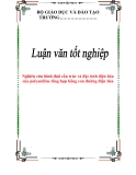 Luận văn:Nghiên cứu hình thái cấu trúc và đặc tính điện hóa của polyaniline tổng hợp bằng con đường điện hóa