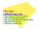 Kinh tế lượng cơ bản: Hướng dẫn chi tiết và dễ hiểu