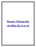 Hermes: Thương hiệu của đẳng cấp và xa xỉi.Có thể nói Hermes đã trở thành