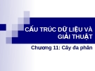 Cây đa phân: Chương 11 (Tổng quan chi tiết)