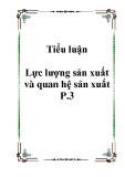 Tiểu luận Lực lượng sản xuất và quan hệ sản xuất P.3