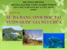 Báo cáo chi tiết: Đánh giá sự đa dạng sinh học tại Vườn quốc gia Núi Chúa