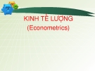 Kinh tế lượng (Econometrics): Tổng quan và ứng dụng
