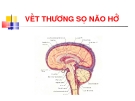 VẾT THƯƠNG SỌ NÃO HỞ
