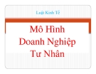 Mô Hình Doanh Nghiệp Tư Nhân