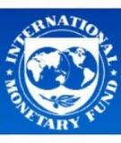 Bộ chỉ số lành mạnh tài chính chuẩn IMF: Phân tích và đánh giá