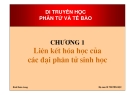 Liên kết hóa học của đại sinh học phân tử: Tổng quan [Năm hiện tại]