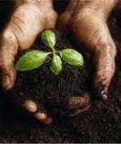 Trắc nghiệm Sự phát sinh và phát triển của sự sống: Tổng hợp câu hỏi và đáp án