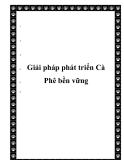 Giải pháp phát triển Cà Phê bền vững