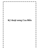 Kỹ thuật ương Cua Biển chuẩn nhất