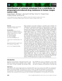 Báo cáo khoa học: Identiﬁcation of carbonic anhydrase 9 as a contributor to pingyangmycin-induced drug resistance in human tongue cancer cells