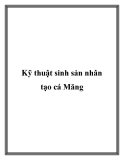 Kỹ thuật sinh sản nhân tạo cá Măng [mới nhất]: Hướng dẫn chi tiết