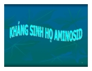 Bài giảng Đại cương Hóa Dược: Tổng quan về kháng sinh họ Aminosid