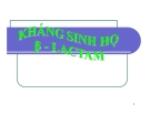 Kháng sinh β-lactamin: Bài giảng Đại cương Hóa dược