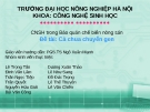 CNSH trong bảo quản chế biến nông sản: Nghiên cứu cà chua chuyển gen