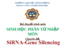 SiRNA, Gene Silencing: Nhập Môn Sinh Học Phân Tử