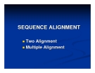 Sequence Alignment: Hướng dẫn và các phương pháp [Năm hiện tại]