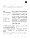 Báo cáo khoa học: A novel gene, fad49, plays a crucial role in the immediate early stage of adipocyte differentiation via involvement in mitotic clonal expansion