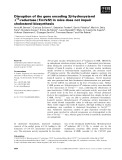 Báo cáo khoa học: Disruption of the gene encoding 3b-hydroxysterol D14-reductase (Tm7sf2) in mice does not impair cholesterol biosynthesis