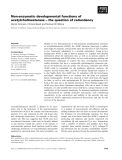 Báo cáo khoa học: Non-enzymatic developmental functions of acetylcholinesterase – the question of redundancy