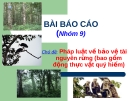 Pháp luật về bảo vệ tài nguyên rừng (bao gồm động thực vật quý hiếm): Tổng quan và quy định mới nhất