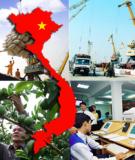 Câu hỏi và bài tập Kinh tế Môi trường có đáp án chi tiết