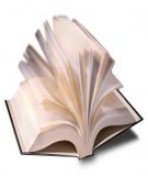 Đề thi sinh viên giỏi toán năm 2010 vòng chung khảo [kèm đáp án]