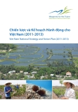 Chiến lược và Kế hoạch Hành động cho Việt Nam (2011-2013) [Chi tiết]