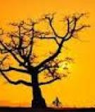 Sáng tạo với bóng trong nhiếp ảnh