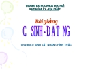 Sinh Vật Nhân Chính: Chương 3 (Phân tích chi tiết)