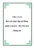 Báo cáo thực tập Hãng phim truyện I - Bộ Văn hoá Thông tin: Tiểu luận chi tiết