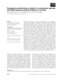 Báo cáo khoa học: Nucleosome positioning in relation to nucleosome spacing and DNA sequence-speciﬁc binding of a protein