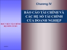 Báo cáo tài chính và các hệ số tài chính của doanh nghiệp: Tổng quan chương 4