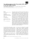 Báo cáo khoa học: Two splicing isoforms of the Y-box protein ctYB-1 appear on the same mRNA molecule