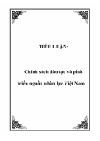 Chính sách đào tạo và phát triển nguồn nhân lực Việt Nam: Tiểu luận [Nổi bật]