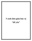 5 cách đơn giản bảo vệ dế yêu