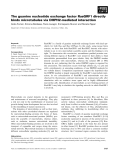 Báo cáo khoa học: The guanine nucleotide exchange factor RasGRF1 directly binds microtubules via DHPH2-mediated interaction