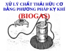 Xử lý chất thải hữu cơ bằng phương pháp kỵ khí (Biogas) hiệu quả nhất