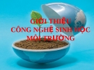 Nguyên nhân gây ô nhiễm môi trường: Tổng hợp đầy đủ nhất