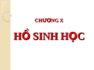 Hồ sinh học: [Thêm thông tin chi tiết để tối ưu SEO]