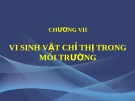 Sinh Vật Chỉ Thị Trong Môi Trường: Tổng Quan và Ứng Dụng