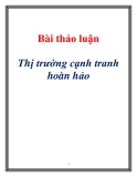 Bài Thảo Luận Thị Trường Cạnh Tranh Hoàn Hảo