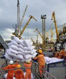 16 Bộ Đề Thi Trắc Nghiệm Kinh Tế Vĩ Mô Có Đáp Án [Mới Nhất]