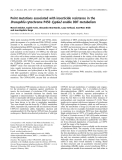 Báo cáo khóa học: Point mutations associated with insecticide resistance in the Drosophila cytochrome P450 Cyp6a2 enable DDT metabolism