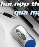 Pháp luật về thuế và báo cáo thuế [mới nhất]