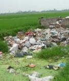 Hiện trạng tài nguyên đất thế giới, Việt Nam và hướng sử dụng bền vững