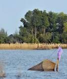 Quy trình xử lý chất thải tạo nhiên liệu sinh học: Ý nghĩa, nhận xét và quan điểm