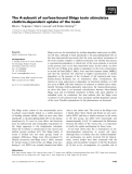 Báo cáo khoa học: The A-subunit of surface-bound Shiga toxin stimulates clathrin-dependent uptake of the toxin